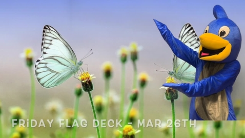 Thumbnail for Friday Flag Deck Mar 26th .mp4