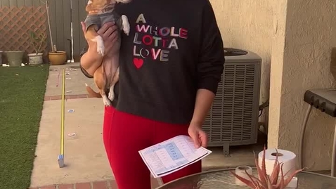 Thumbnail for Scale Model Solar System Video