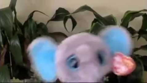 Thumbnail for P4 Hannah Liu_ Asian Elephants - Save Our Species Project - Small