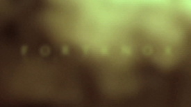 Realeyz Indie Film Network