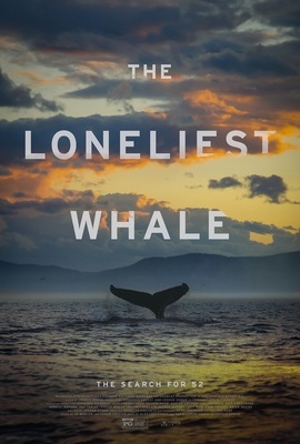 the loneliest whale