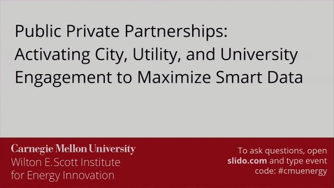 Thumbnail for Panel: Public Private Partnerships