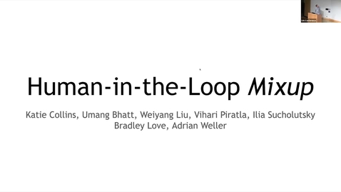 Thumbnail for Human-in-the-Loop Mixup