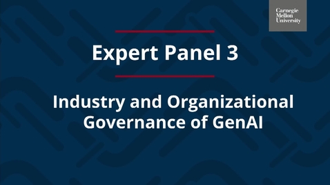 Thumbnail for Industry and Organizational Governance of GenAI