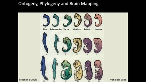 Thumbnail for Show transcript Biological Sciences Seminar 09/21/22 - Bobby Kasthuri