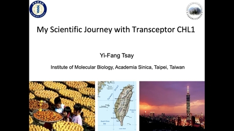 Thumbnail for Biological Science Seminar 10/19/22 - Yi-Fang Tsay