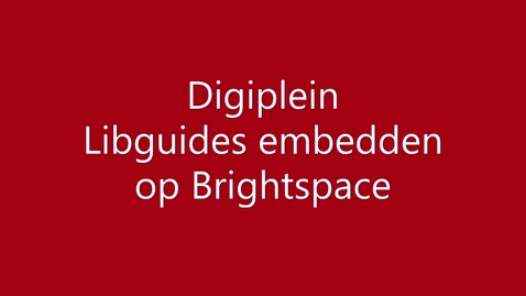 Thumbnail for entry Digiplein - Libguides embedden op Brightspace