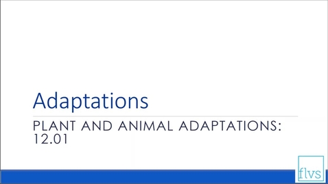 Thumbnail for Plant and Animal Adaptions