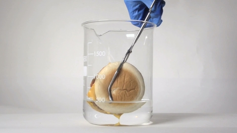 Thumbnail for Cheeseburger in hydrochloric acid