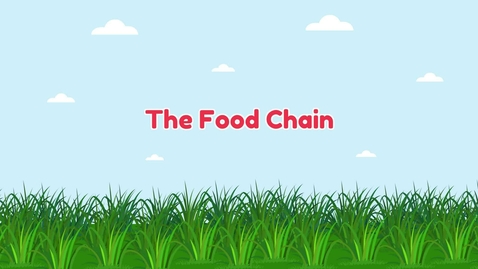 Thumbnail for The Food Chain