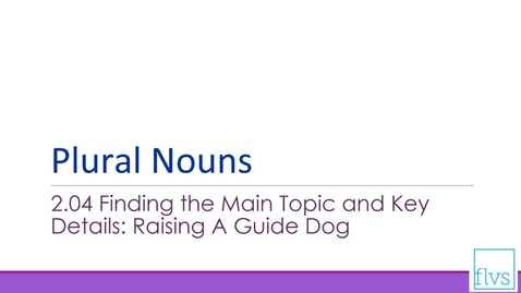 Thumbnail for Plural Nouns