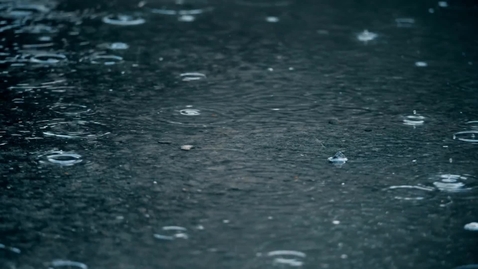 Thumbnail for Water Forms