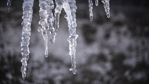 Thumbnail for Melting icicles