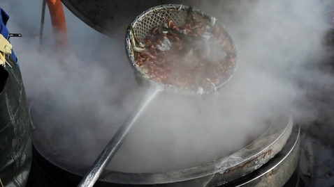 Thumbnail for Steam from boiling water
