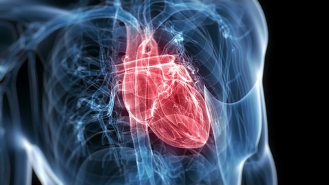 Thumbnail for Heart beating