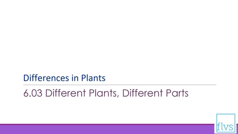 Thumbnail for entry Differences in Plants