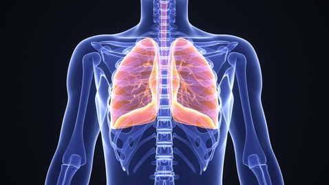 Thumbnail for Lungs breathing