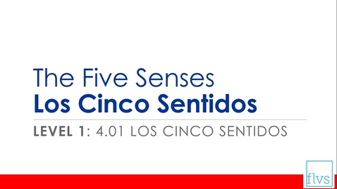 Thumbnail for entry The Five Senses Los Cinco Sentidos