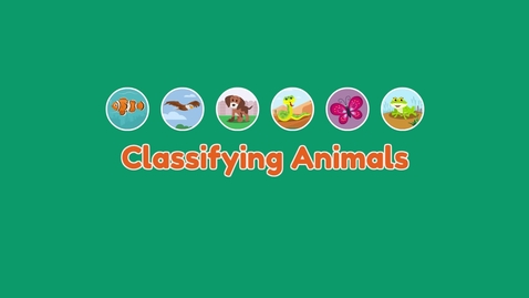 Thumbnail for entry Classifying Animals