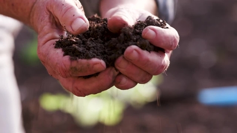 Thumbnail for Silt soil
