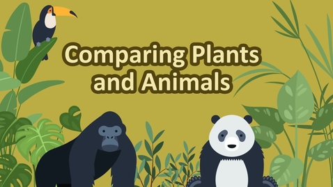 Thumbnail for entry Comparing Plants and Animals