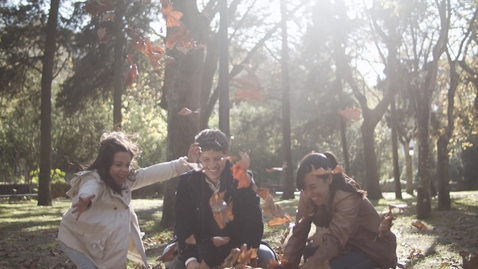 Thumbnail for Leaves Falling