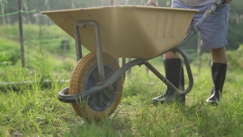 Thumbnail for Pushing a wheelbarrow