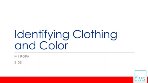 Thumbnail for entry Identifying Clothing and Color