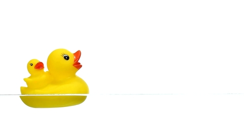 Thumbnail for Floating rubber duck