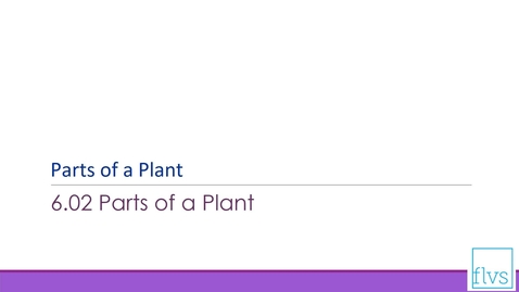 Thumbnail for Parts of a Plant