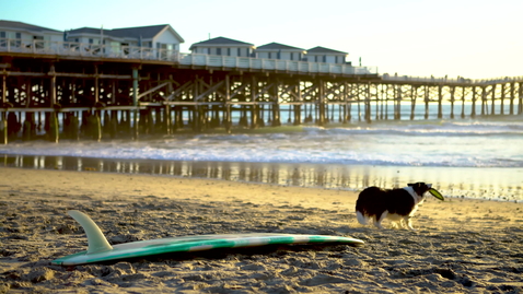 Thumbnail for Catching frisbee