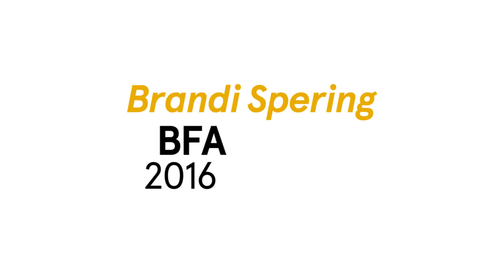 Thumbnail for entry Brandi Spering The Writing Program BFA 2016