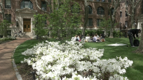 Thumbnail for P1040382