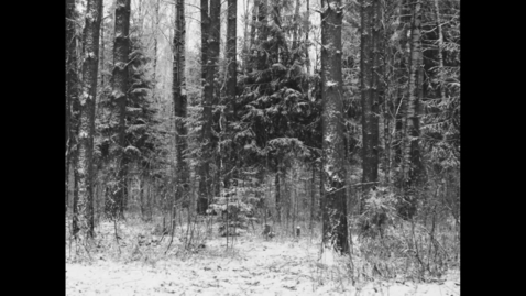 Thumbnail for WINTER NOTE (excerpt) Mika Altskan