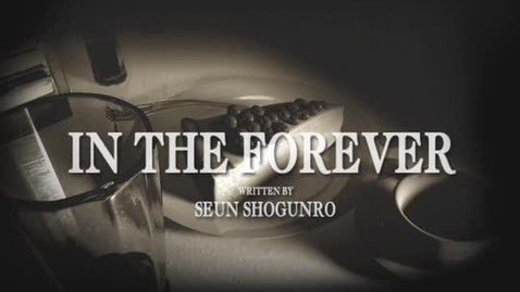 Thumbnail for entry IN THE FOREVER Seun Shogunro