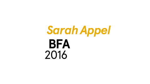 Thumbnail for entry Sarah Appel The Writing Program BFA 2016