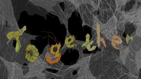 Thumbnail for TOGETHER! David Sheahan