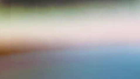 Thumbnail for PLASTIC PILGRIM  Lindsay McAleavy