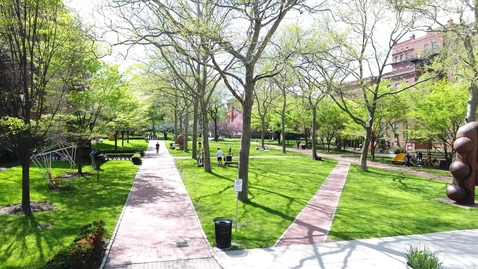 Thumbnail for DJI_0003