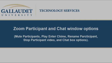 Thumbnail for Zoom Participant and Chat Windows Options 