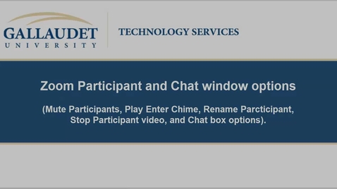 Thumbnail for entry Zoom Participant and Chat Windows Options 