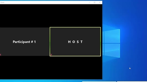 Thumbnail for Zoom Participant and chat windows and FULL WINDOW SCREEN