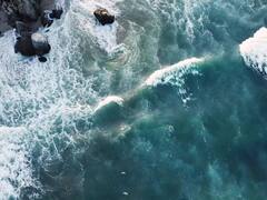 video_nature2