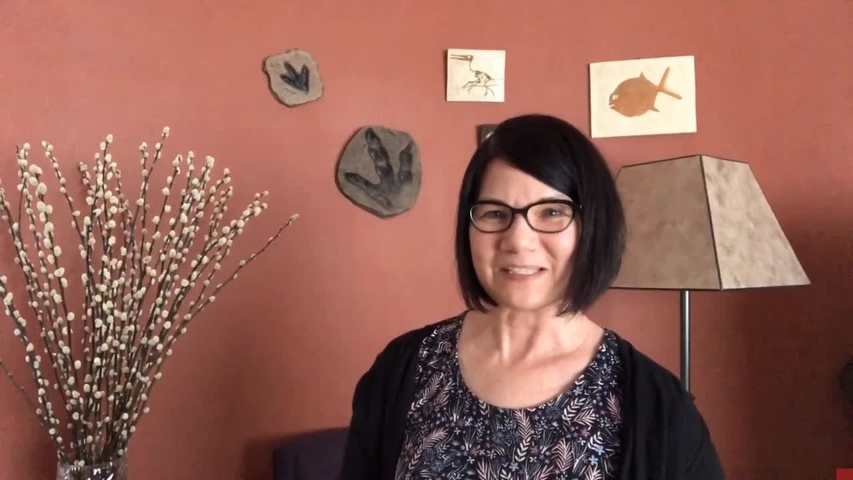 Meet-Clinical-Sciences-and-Innovation-Academy-fellows.mp4