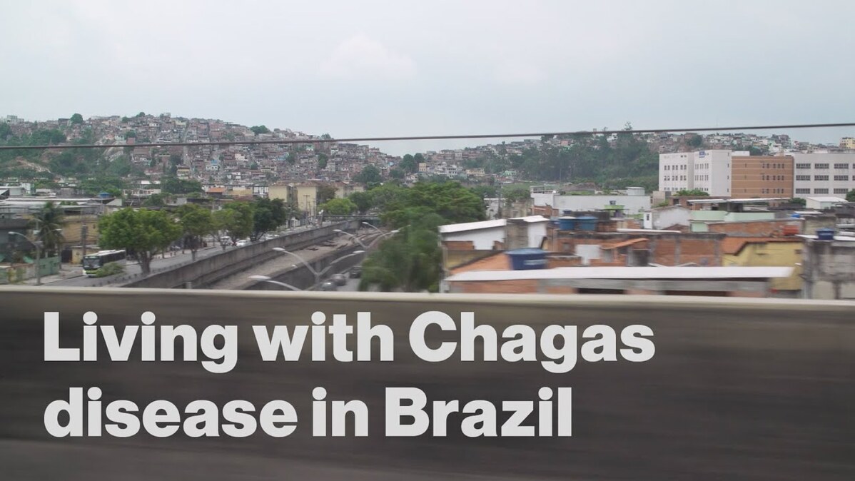 Living with Chagas Disease in Brazil