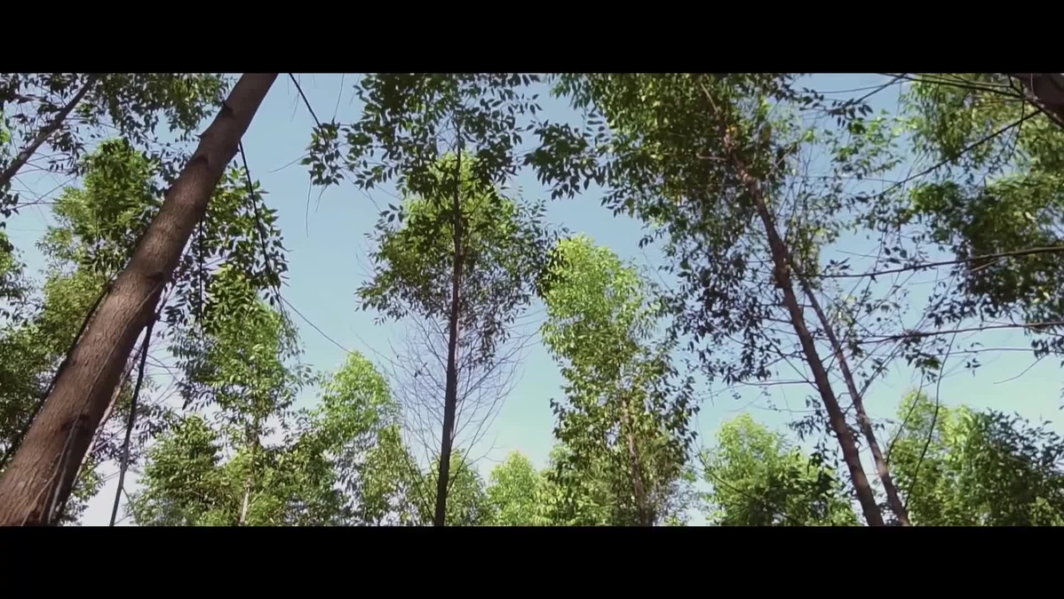 Novartis Hacienda El Manantial