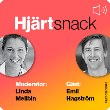 Podcast: Hjärtsnack – Hur får vi arbetet med kardiovaskulär prevention att fungera i praktiken?