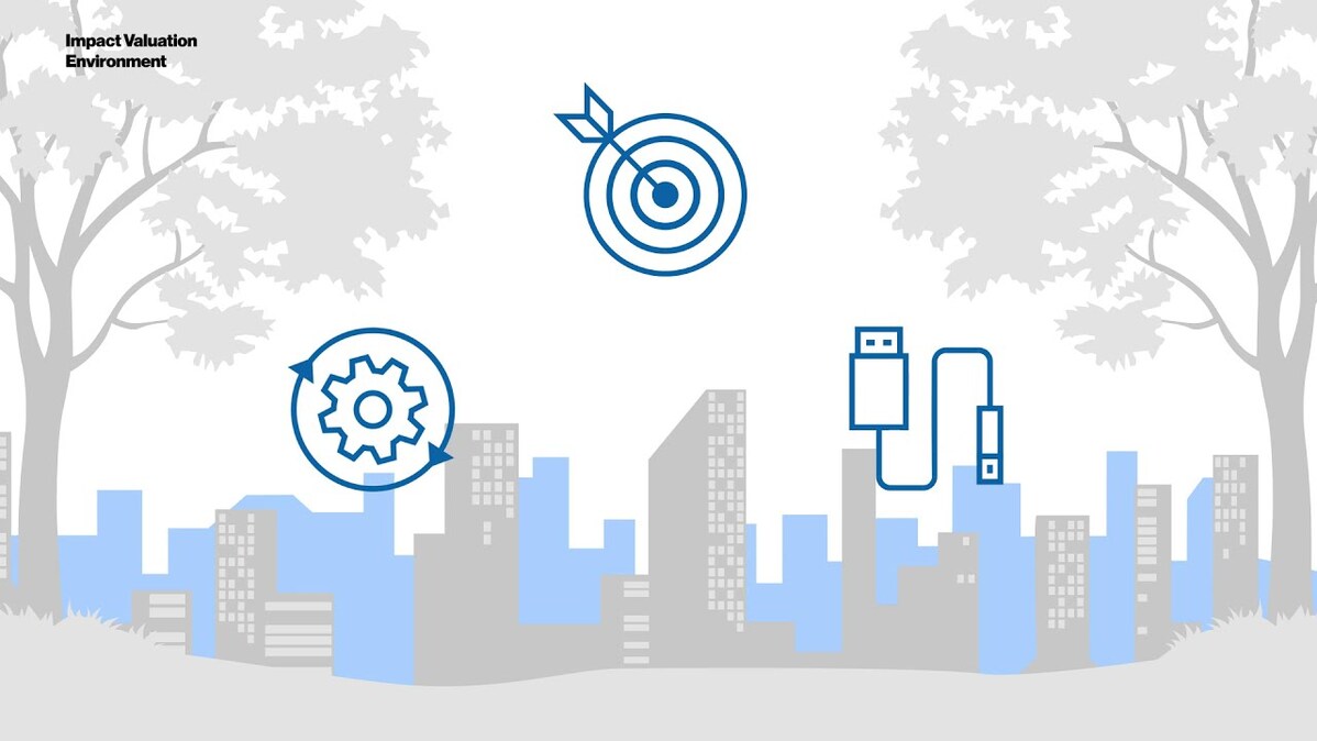Impact Valuation: Environment