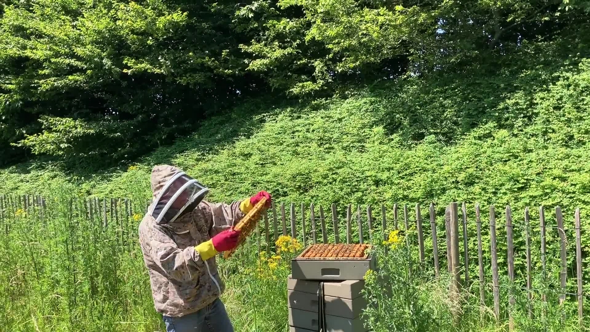 Novartis BE - nvs-belux_beemovie_v1 (1080p)