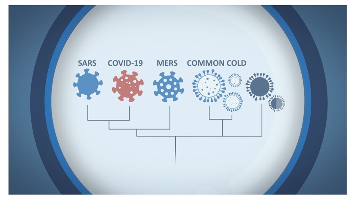 The ultimate scientific cold case